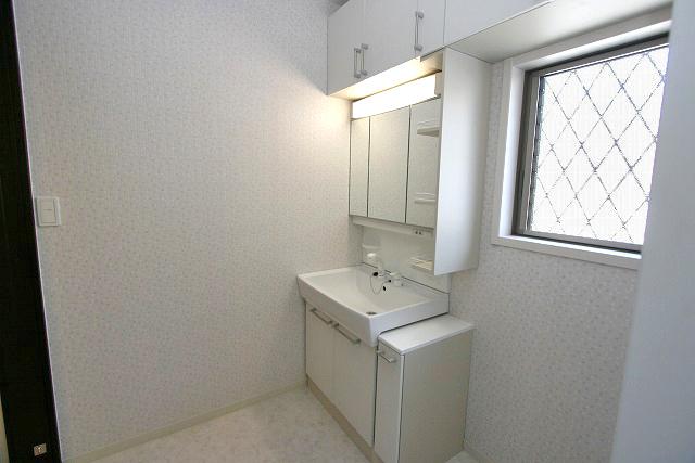 Wash basin, toilet. Vanity with shower