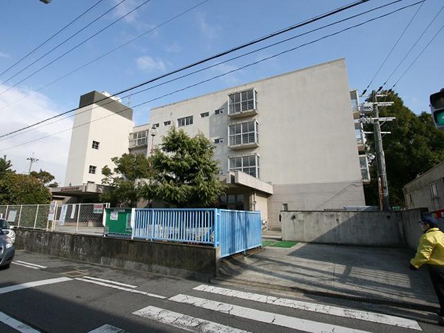 Primary school. Johigashi until elementary school 440m
