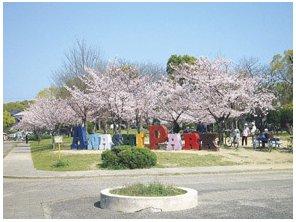 park. 850m until Anashi park