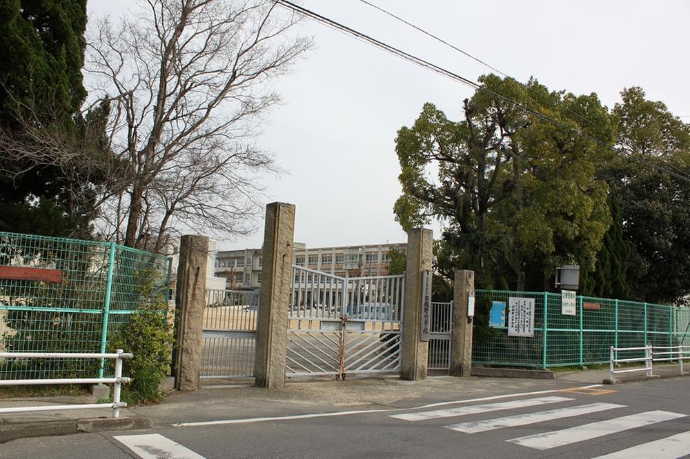 Primary school. Hineno to elementary school 320m