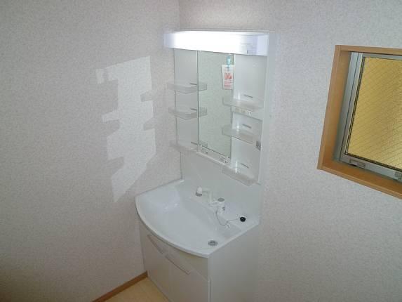 Wash basin, toilet. Convenient Shampoo dresser!
