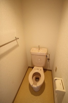 Toilet. Toilet