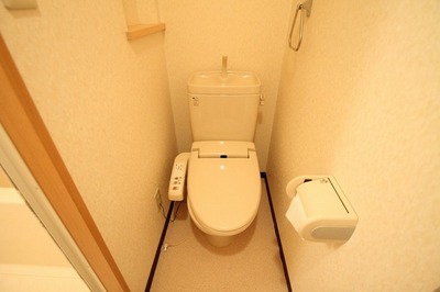 Toilet. toilet Bidet