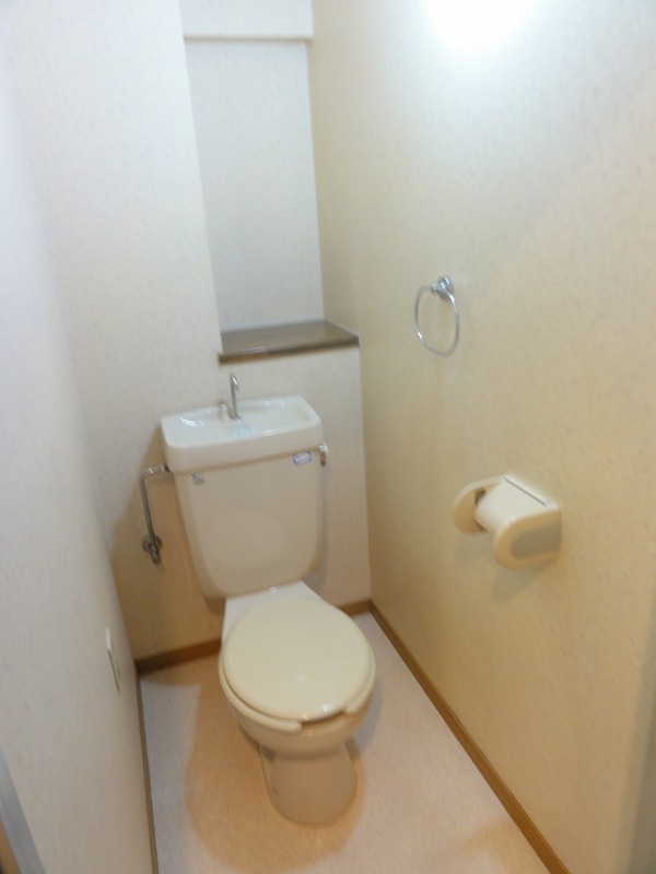 Toilet. That shelf. Convenient.