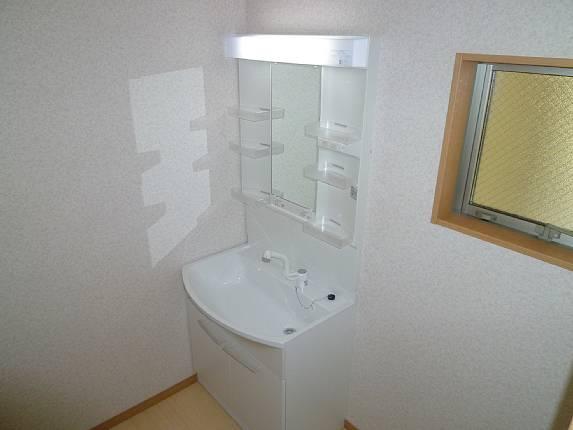 Wash basin, toilet. Convenient Shampoo dresser!