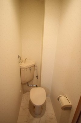 Toilet. Toilet
