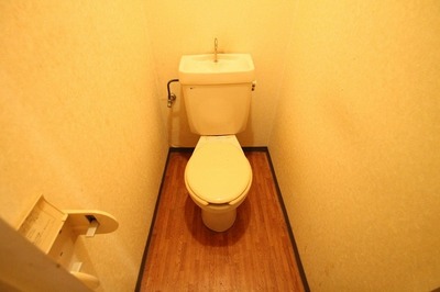 Toilet. Toilet