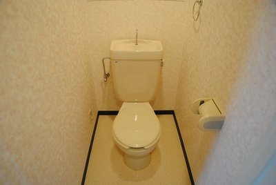 Toilet. Toilet