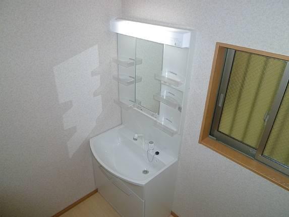 Wash basin, toilet. Convenient Shampoo dresser