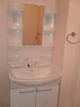 Washroom. Shampoo dresser