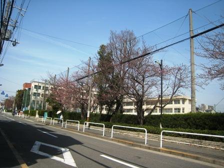 Primary school. Moriguchi until the Municipal Bridge wave elementary school (elementary school) 613m