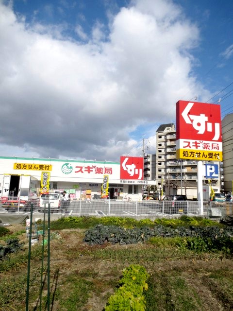 Dorakkusutoa. Cedar pharmacy Neyagawa Kayashima shop 1054m until (drugstore)