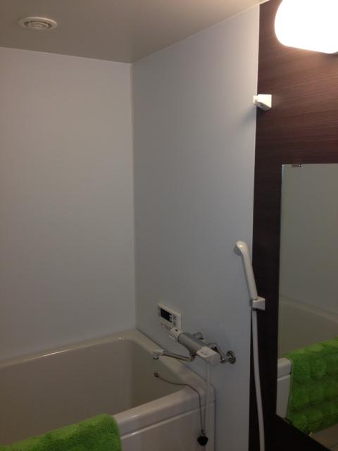 Bathroom. Indoor (September 2013) Shooting