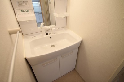 Washroom. Shampoo dresser