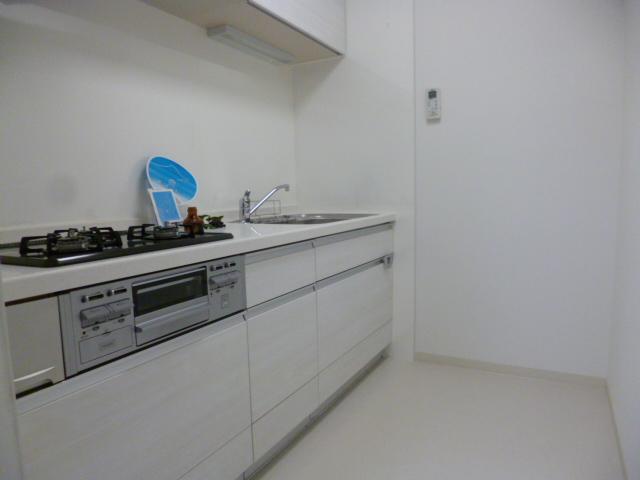 Kitchen. Indoor (12 May 2013) Shooting