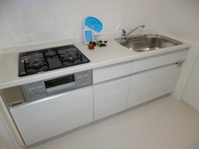 Kitchen. Indoor (12 May 2013) Shooting