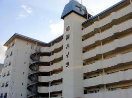 Other local. Green is often living environment