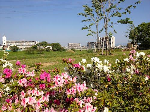 Other local. Yamatogawa Riverside park