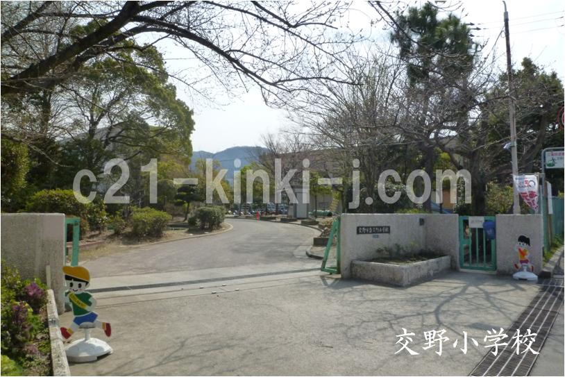 Primary school. 1256m to Katano Municipal Katano elementary school (elementary school)