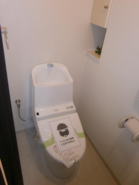 Toilet. It is a shiny new because we had made a bidet to June of 2013