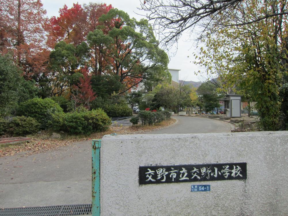 Other. Katano Municipal Katano Elementary School