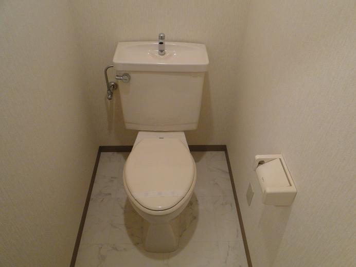 Toilet. Toilet inside also are carefully maintenance!