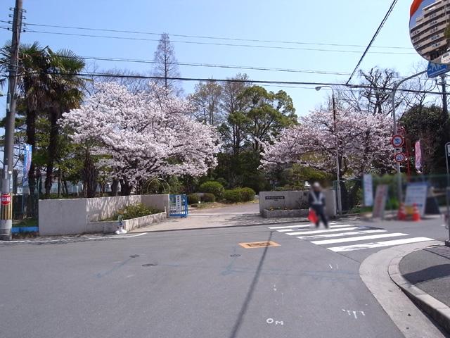 Primary school. Katano Municipal Katano to elementary school 1185m