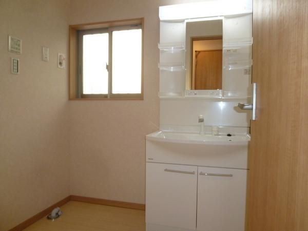 Wash basin, toilet. Storage lot, Vanity with functional shower
