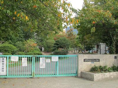 Primary school. Katano until elementary school 170m