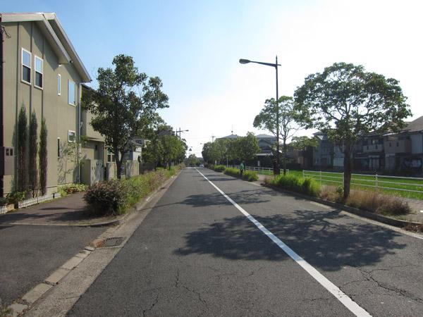 Other local. Surrounding cityscape