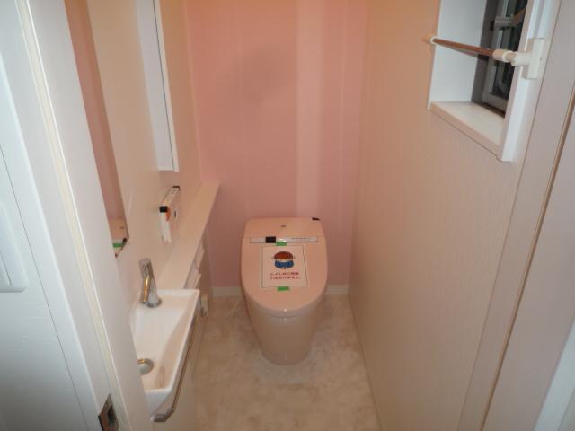 Toilet. Eco-good in the tankless toilet! 