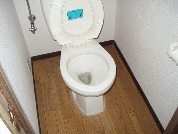Toilet. Let frequently cleaning the toilet. 