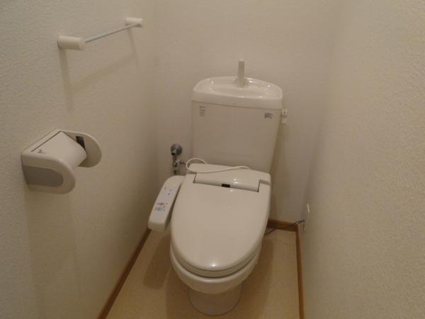 Toilet. Toilet with a multi-function is also popular equipment!