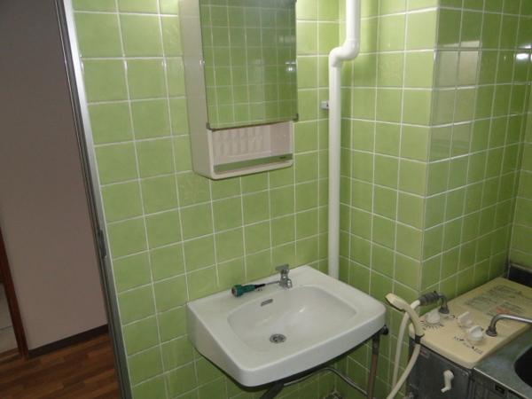 Washroom. Wash basin looks like this!