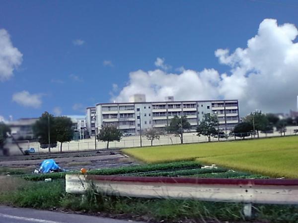 Junior high school. 1200m until the fourth junior high school