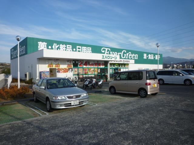 Dorakkusutoa. Evergreen Sayama shop 819m until (drugstore)