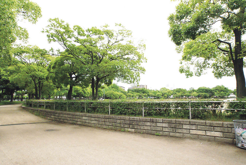 Other Environmental Photo. And Omoikkiri Hashirimawareru ground 490m children to mouth park Noriyuki cattle, There is a promenade walk in the forest mood