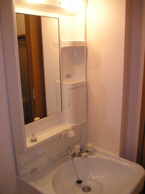 Washroom. Shampoo Dresser independent wash basin