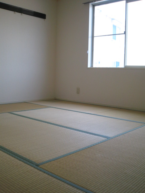 Living and room. Japanese style room