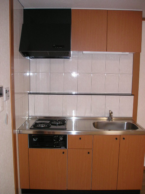 Kitchen. System kitchen With gas stove