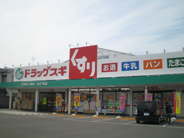 Dorakkusutoa. Drag cedar Kishiwada Ueno shop 1136m until (drugstore)