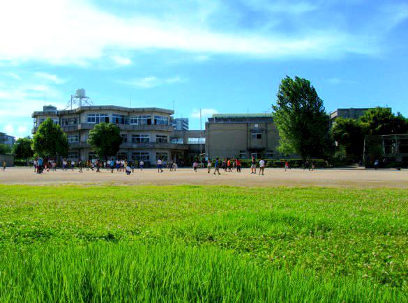 Primary school. Kishiwada City Shinjo to elementary school (elementary school) 755m