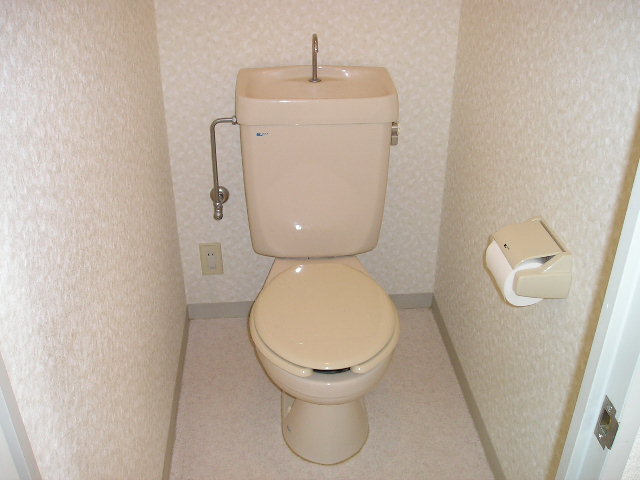 Toilet. Toilet