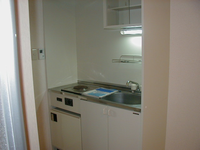 Kitchen. Electric heating stove, There is a mini-fridge. 