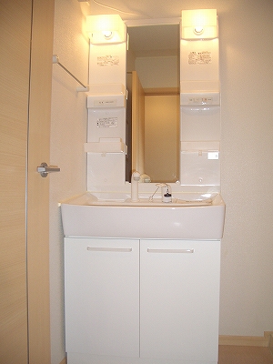 Washroom. Shampoo dresser