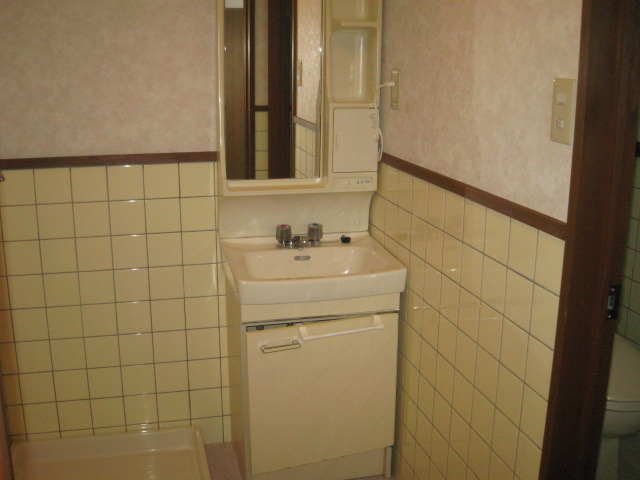 Washroom. Bathroom vanity