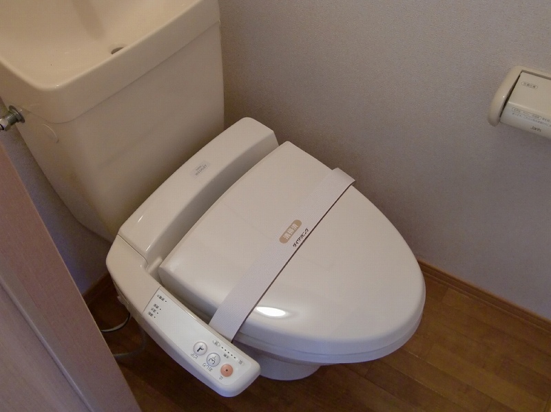 Toilet. Warm water washing toilet seat