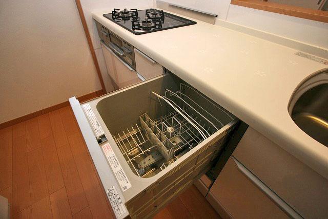 Kitchen. Built-in dishwasher