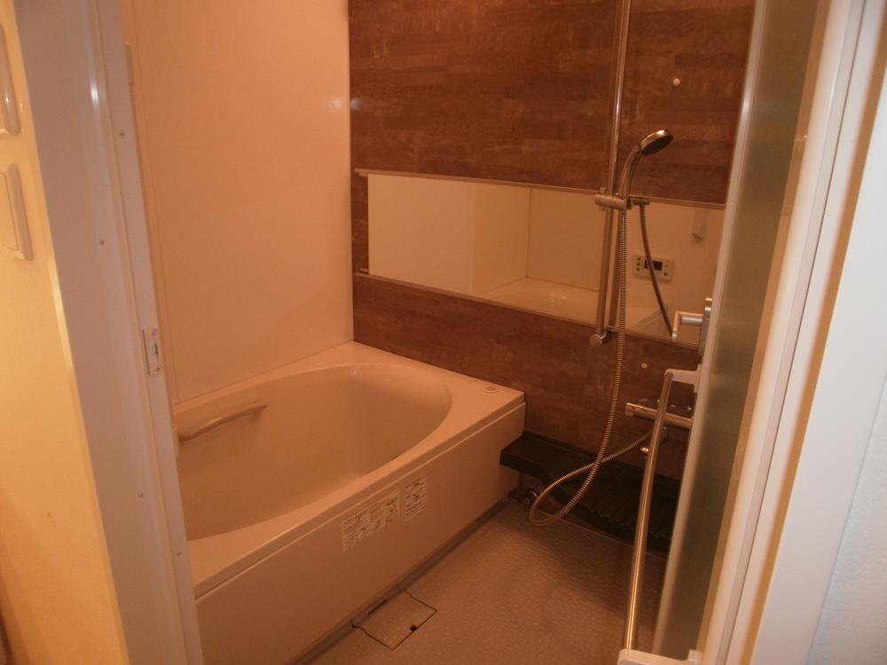 Bathroom. Indoor (10 May 2013) Shooting