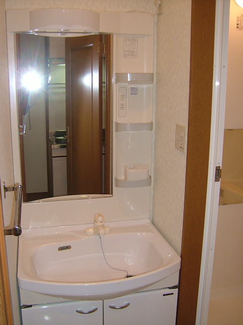 Washroom. Bathroom vanity